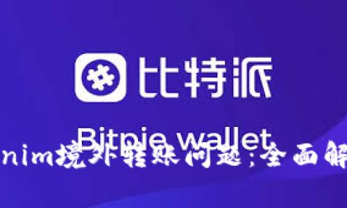 如何解决Tokenim境外转账问题：全面解析与实用技巧