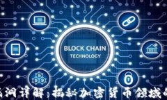 Tokenim漏洞详解：揭秘加密货币领域的安全隐患