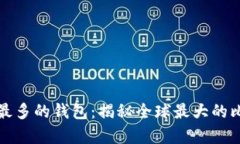 拥有比特币最多的钱包：揭秘全球最大的比特币