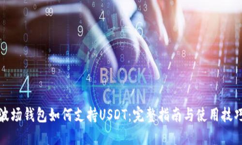 波场钱包如何支持USDT：完整指南与使用技巧
