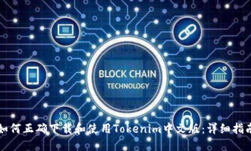 如何正确下载和使用Tokenim中文版：详细指南