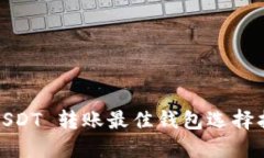 : USDT 转账最佳钱包选择指南