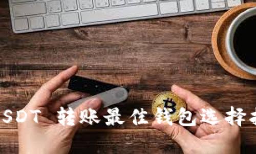 : USDT 转账最佳钱包选择指南