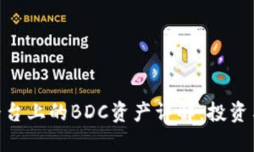 Tokenim平台上的BDC资产详解：投资与交易指南