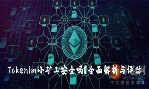 Tokenim小矿工安全吗？全面解析与评估