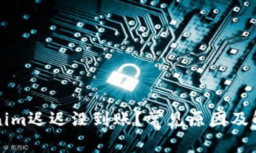 转账到Tokenim迟迟没到账？常见原因及解决方法详解