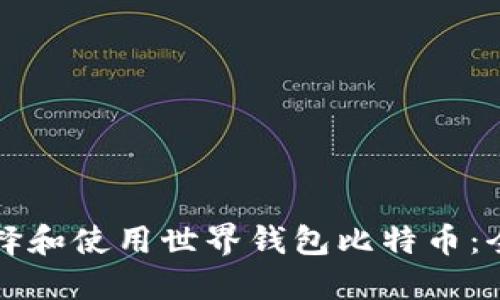 如何选择和使用世界钱包比特币：全面指南
