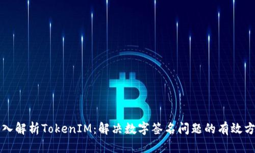 深入解析TokenIM：解决数字签名问题的有效方案