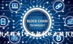 以太坊钱包是否支持比特币？全面解析以太坊钱