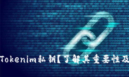 什么是Tokenim私钥？了解其重要性及安全性