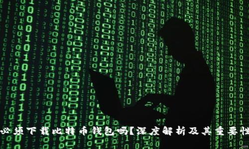必须下载比特币钱包吗？深度解析及其重要性