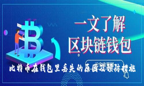 比特币在钱包里丢失的原因及预防措施