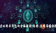 印度比特币钱包的全面解析：选择、使用与安全