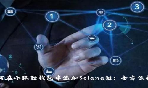 如何在小狐狸钱包中添加Solana链: 全方位指南