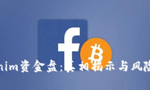 Tokenim资金盘：真相揭示与风险分析