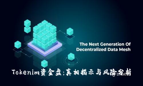 Tokenim资金盘：真相揭示与风险分析