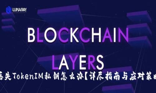 丢失TokenIM私钥怎么办？详尽指南与应对策略