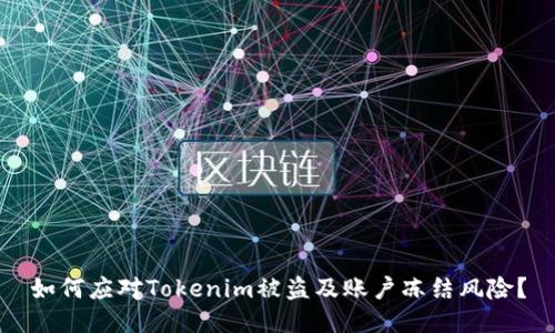 如何应对Tokenim被盗及账户冻结风险？