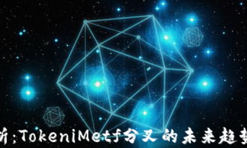 
深度解析：TokeniMetf分叉的未来趋势与影响