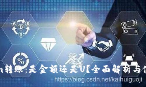 Tokenim转账：是金额还是U？全面解析与使用指南