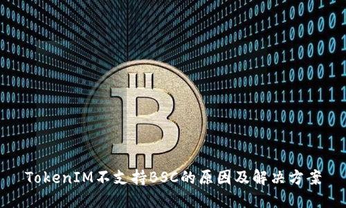 TokenIM不支持BSC的原因及解决方案