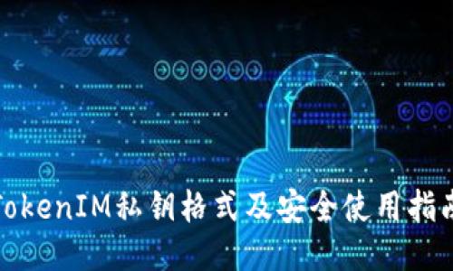 TokenIM私钥格式及安全使用指南