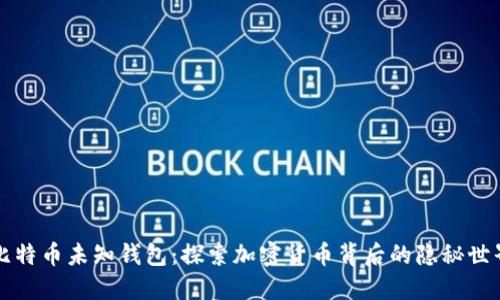 比特币未知钱包：探索加密货币背后的隐秘世界