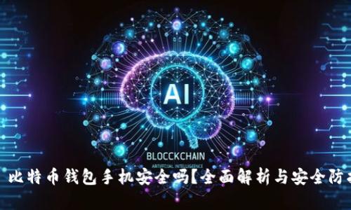 Title: 比特币钱包手机安全吗？全面解析与安全防护措施