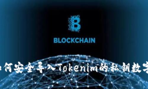 如何安全导入Tokenim的私钥数字？