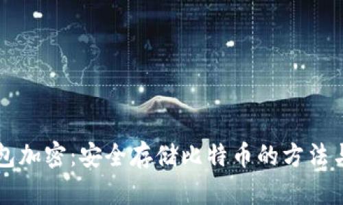 比特币钱包加密：安全存储比特币的方法与最佳实践