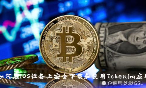 如何在iOS设备上安全下载和使用Tokenim应用